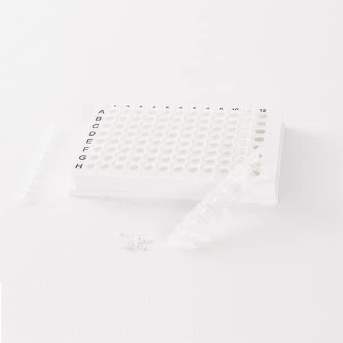 Tissue homogenizing CKMix 96 Well Plate