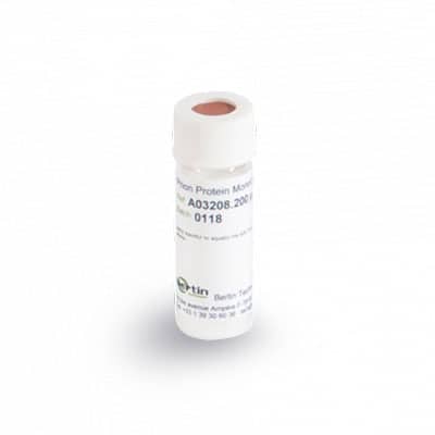 Antibodies